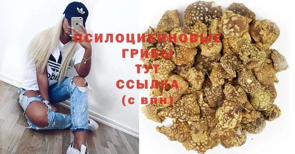 дмт Заволжск