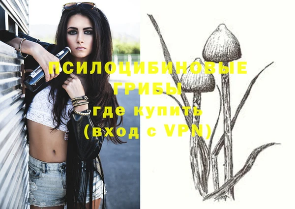 дмт Заволжск