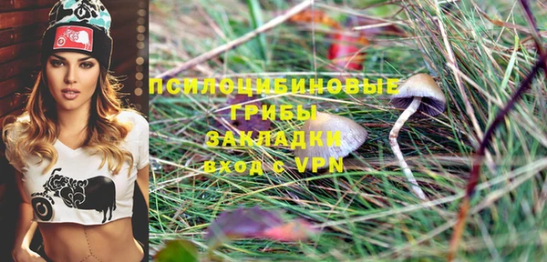 эйфоретик Заволжье