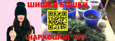 кокс Кандалакша