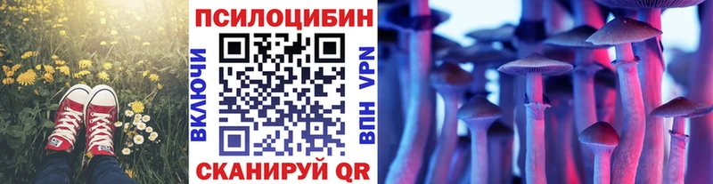 Галлюциногенные грибы Psilocybe  купить закладку  Славгород 