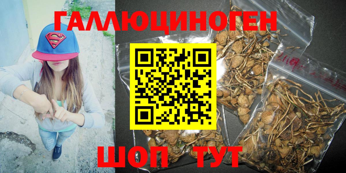 Галлюциногенные грибы Magic Shrooms  Псилоцибиновые грибы Magic Shrooms  Славгород  Вход с VPN 