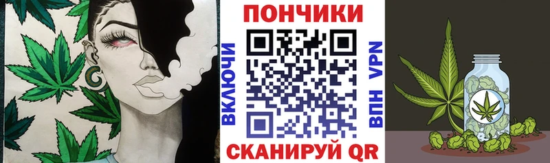Бошки Шишки план  наркота  Славгород 